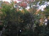 2008秋の寒霞渓