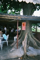 南泰の店内の木
