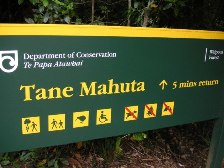 NZの森林保護区看板