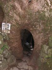 熊野那智大社の樟の洞