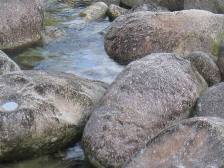 屋久島・渓流の岩